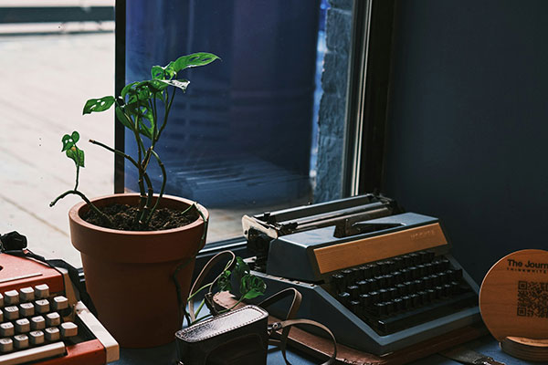 Our support has deep roots in DNN. Seriously.